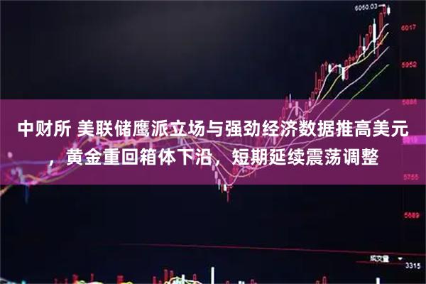 中财所 美联储鹰派立场与强劲经济数据推高美元，黄金重回箱体下沿，短期延续震荡调整