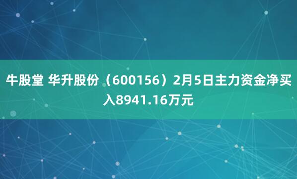 牛股堂 华升股份（600156）2月5日主力资金净买入8941.16万元