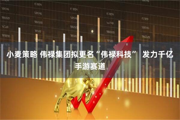 小麦策略 伟禄集团拟更名“伟禄科技”  发力千亿手游赛道
