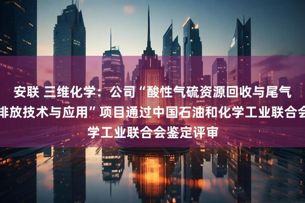 安联 三维化学：公司“酸性气硫资源回收与尾气净化超低排放技术与应用”项目通过中国石油和化学工业联合会鉴定评审